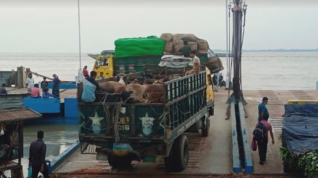 পশুবাহী ট্রাকগুলো অগ্রাধিকার ভিত্তিতে পার হবে : জেলা পুলিশ সুপার