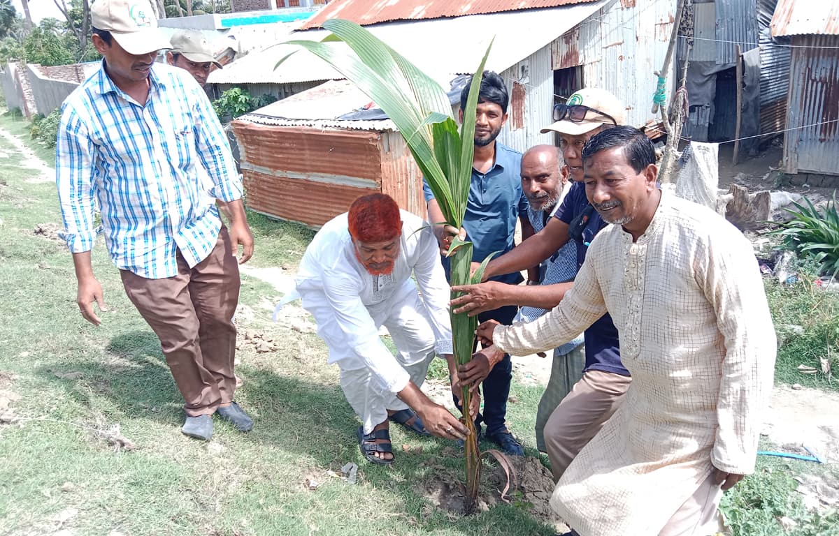 কুয়াকাটায় বনবিভাগের বৃক্ষ রোপণ কর্মসূচীর উদ্বোধণ