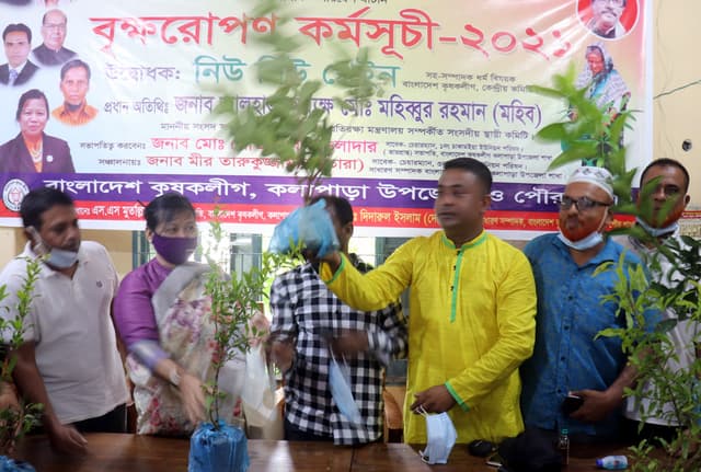 কলাপাড়ায় কৃষক লীগের বৃক্ষরোপণ