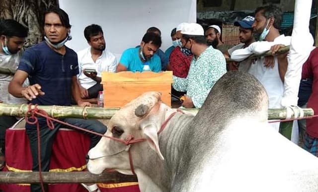 বরিশালে পশুর হাটে মানা হচ্ছেনা স্বাস্থ্যবিধি, করোনার ঝুঁকি