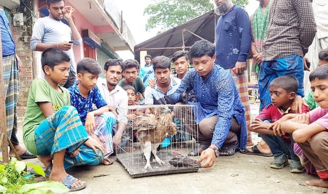 ঈগলের প্রাণ বাঁচাতে এগিয়ে এলেন সুজন
