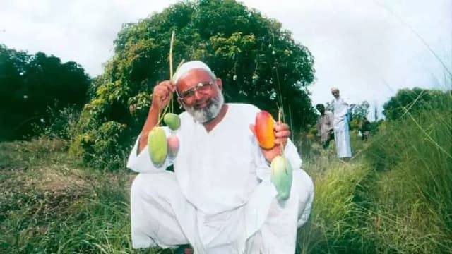এক গাছে ৩০০ প্রজাতির আম! আছে ‘মোদী’, ‘সচিন’ স্বাদ