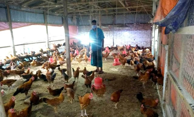 লকডাউনে লোকসানে আত্রাইয়ের মুরগি খামারিরা