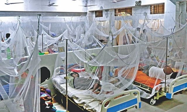 ২৪ ঘণ্টায় দেশে আরও ১৯৬ ডেঙ্গু রোগী হাসপাতালে ভর্তি
