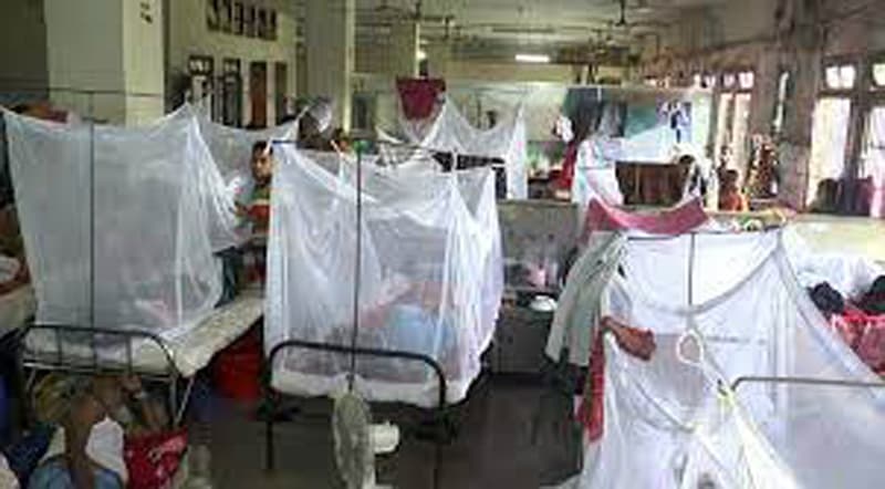 শেবাচিম হাসপাতালে ৬ ডেঙ্গু রোগী ভর্তি