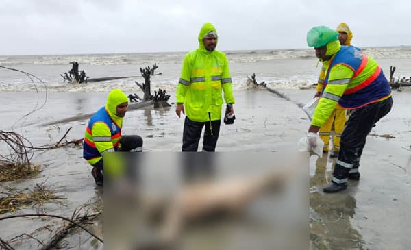 কুয়াকাটা সৈকতে ভেসে এসেছে অজ্ঞাত যুবকের অর্ধলিত মরদেহ