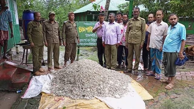 আন্ধারিয়া খাল থেকে বিপুল পরিমাণ মাছ ও নৌকা জব্দ