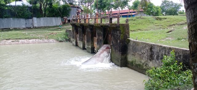কুয়াকাটায় জলকপাট দখল করে প্রভাবশালীদের মাছ শিকার