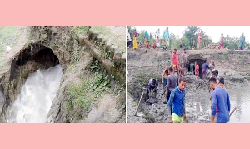 আশাশুনিতে বেড়িবাঁধ পেরিয়ে লোকালয়ে পানি, এলাকাবাসীর আতঙ্ক