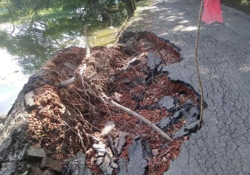 আশাশুনি টু চাম্পাফুল সড়কের পাশে গাছ পড়ে সড়কে ভয়াবহ ভাঙন