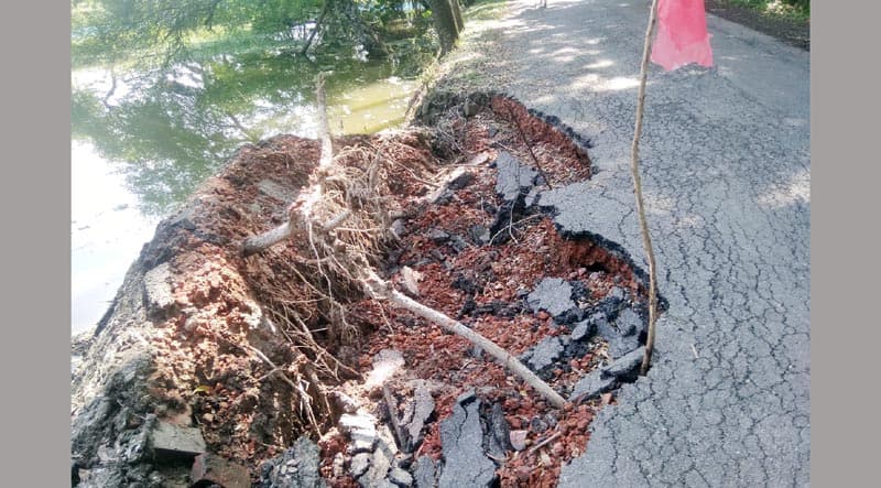 আশাশুনি-চাম্পাফুল সড়কে ভয়াবহ ভাঙন