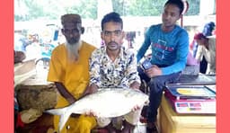 মৌসুমের সেরা ইলিশ ৯ হাজার টাকায় বিক্রি!