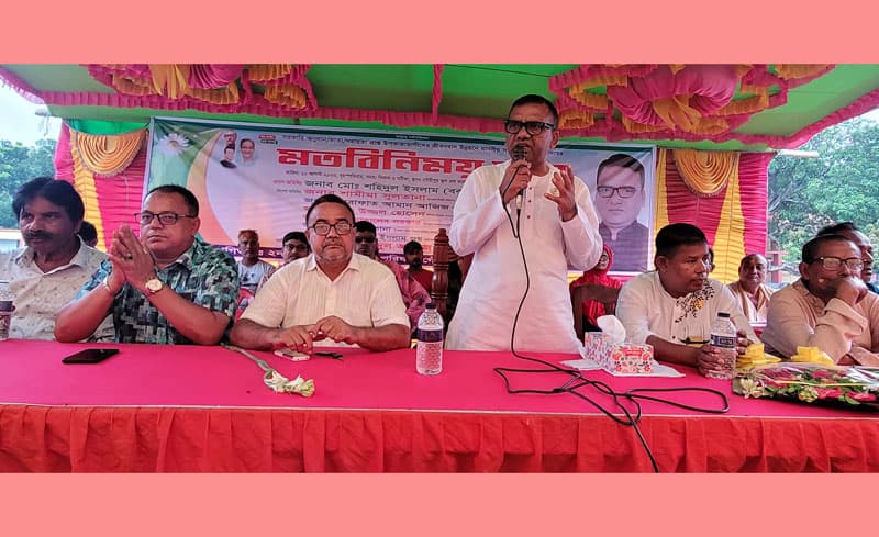 বাংলাদেশের মাটিতে যত উন্নয়ন হয়েছে সব করেছে আওয়ামী লীগ: এমপি বকুল