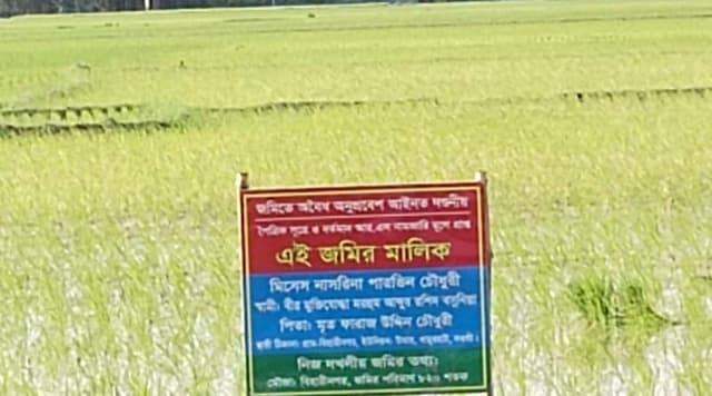 ধামইরহাটে মুক্তিযোদ্ধা পরিবারের জমি হাতিয়ে নেওয়ার অভিযোগ