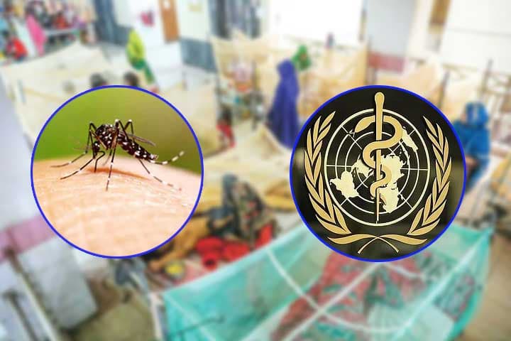 বাংলাদেশের ডেঙ্গু পরিস্থিতি নিয়ে উদ্বেগে হু