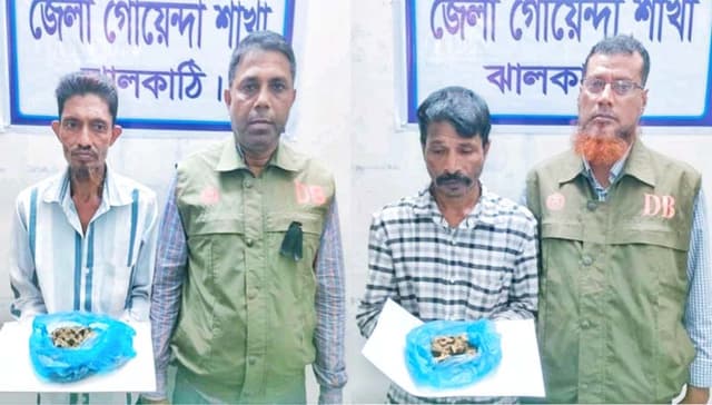 রাজাপুরে গাঁজাসহ দুই মাদক কারবারি আটক