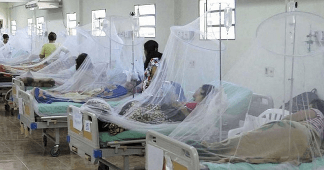 ২৪ ঘণ্টায় আরও ২৫৭ জন ডেঙ্গু রোগী হাসপাতালে ভর্তি