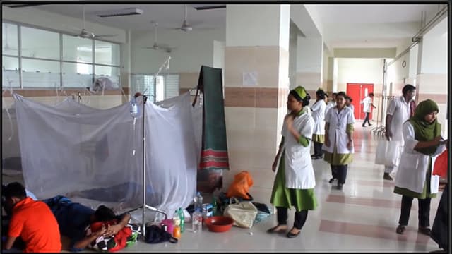 ২৪ ঘণ্টায় দেশে ১৯৮ ডেঙ্গু রোগী হাসপাতালে ভর্তি