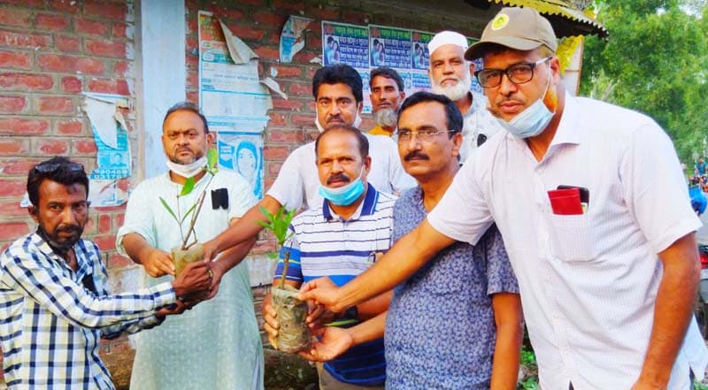 ধামইরহাটে রোপিত হলো পিড়লের চারা
