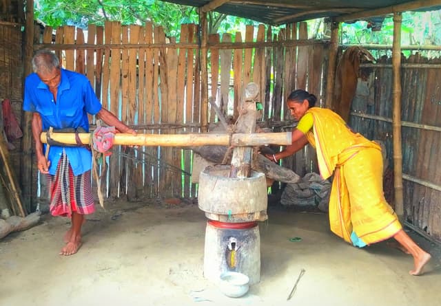 ঘানি টেনে চলছে দম্পতির জীবনযুদ্ধ!