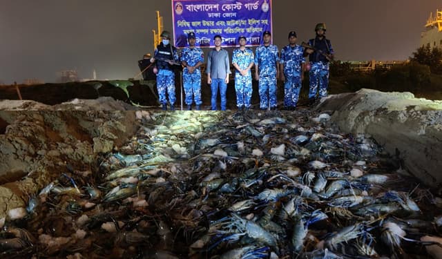 কোস্টগার্ডের অভিযানে জেলি মিশ্রিত কোটি টাকার চিংড়ি জব্দ