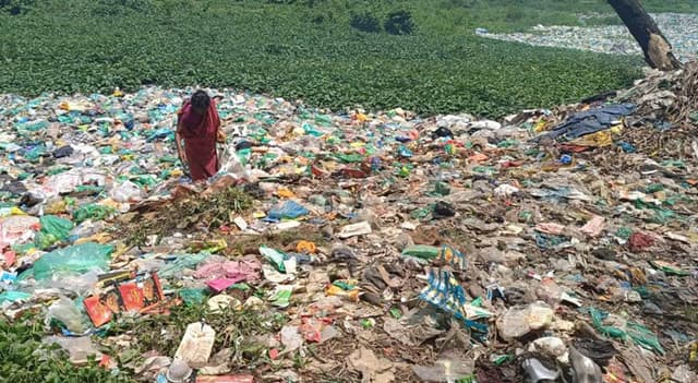 দেবীদ্বার পৌর এলাকায় ময়লার ভাগাড়, ছড়াচ্ছে দুর্গন্ধ; বাড়ছে ডেঙ্গু আতঙ্ক