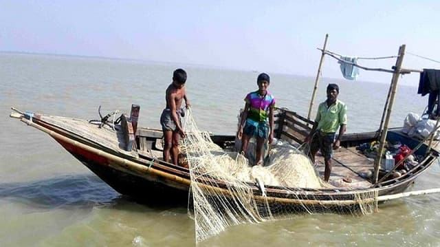 সুন্দরবন উপকূলের নদ নদীতে ইলিশের আকাল
