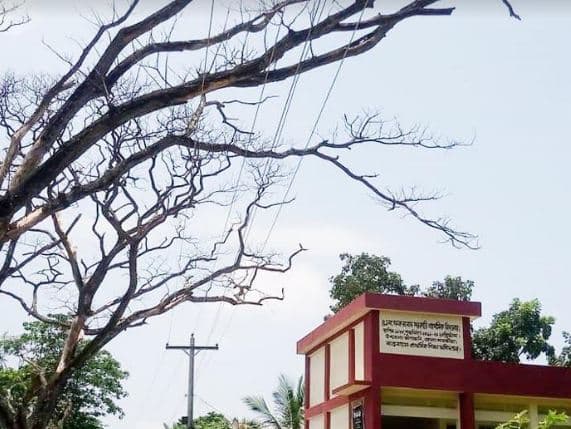 আশাশুনিতে বিদ্যুৎ লাইনের জন্য একটি প্রাথমিক বিদ্যালয় ঝুকিতে