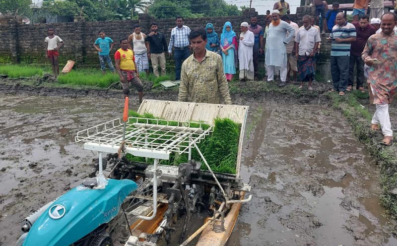 ধান রোপণে জনপ্রিয় হচ্ছে 'রাইস ট্রান্সপ্লান্টার' যন্ত্র