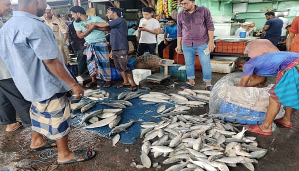 বরিশালের নদীতে নেই কাঙ্খিত ইলিশ, দামও চড়া