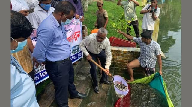 দেবীদ্বারে ৪২৭ কেজি মাছের পোনা অবমুক্ত