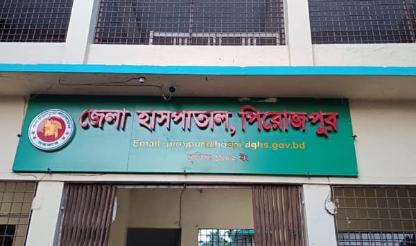 পিরোজপুরে আমড়া পাড়তে গিয়ে বিদ্যুৎস্পৃষ্টে কিশোরের মৃত্যু