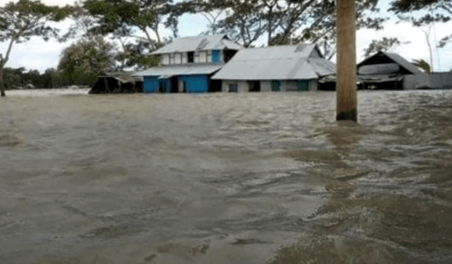 কলাপাড়ায় বেড়িবাঁধ ভেঙ্গে ২০ গ্রাম প্লাবিত