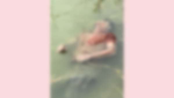 আত্রাইয়ে পুকুরে ভাসছিল অজ্ঞাত যুবকের মরদেহ