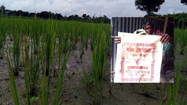 ভোক্তা অধিকারে অভিযোগ করে ক্ষতিপুরণ পেলেন ঝিনাইদহের ৭ কৃষক