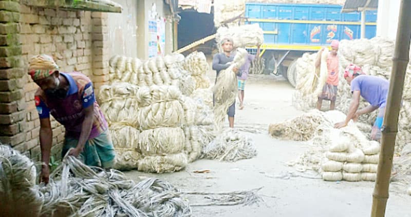 পাঁচবিবি বাজারে পাটের দাম নেই, দিশেহারা কৃষক