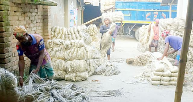 পাঁচবিবি বাজারে পাটের দাম নেই, দিশেহারা কৃষক