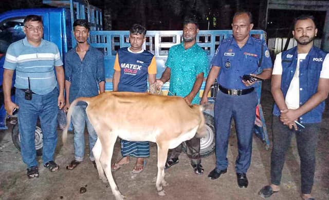 ঝালকাঠিতে গরুসহ চোর চক্রের ২ সদস্য আটক