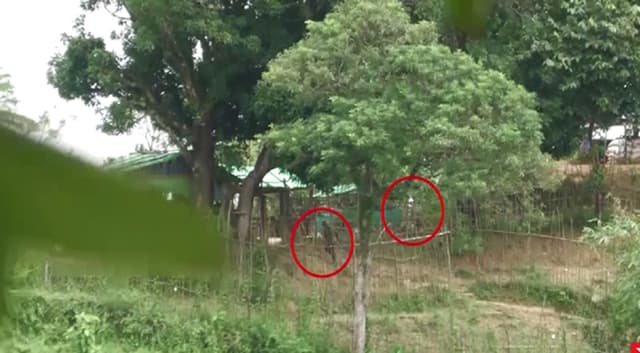 সীমান্তে কেন উসকানি দিচ্ছে মিয়ানমার?