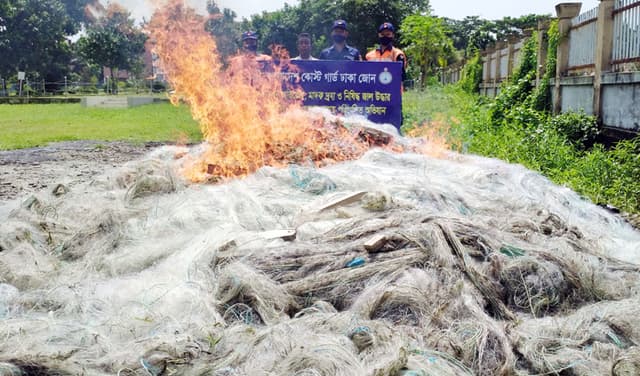 চাঁদপুরে কোস্টগার্ডের অভিযানে বিপুল পরিমান অবৈধ কারেন্ট জাল জব্দ