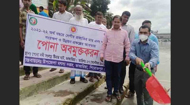 ভান্ডারিয়ায় পুকুর ও নদীতে মাছের পোনা অবমুক্ত