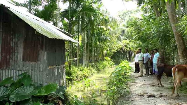 কাঁঠালিয়ায় জলাবদ্ধতায় ফসল নষ্ট, শুস্ক মৌসুমে পানির সংকট