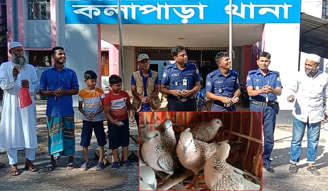 কলাপাড়ায় মুক্ত হলো খাঁচা বন্দি ১৫ টি ঘুঘু