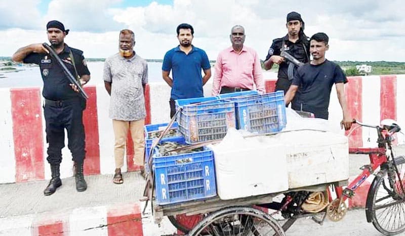 আশাশুনিতে মোবাইল কোর্টে জরিমানা ও মাছ বিনষ্ট