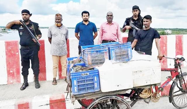 আশাশুনিতে মোবাইল কোর্টে জরিমানা ও মাছ বিনষ্ট