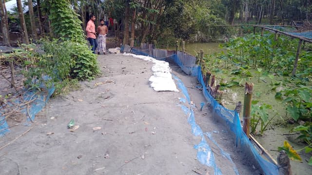 বরিশালে সরকারি খাল ভরাট, আমন ধানের ব্যাপক ক্ষতি
