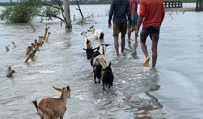 বছর বছর প্রাকৃতিক বিপর্যয়, আশাশুনিতে বাড়ছে ভূমিহীনের সংখ্যা