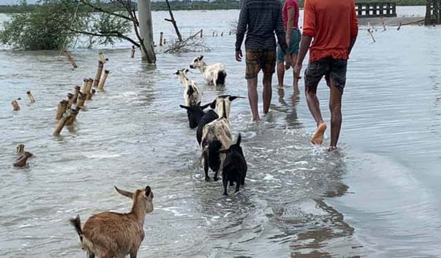 বছর বছর প্রাকৃতিক বিপর্যয়, আশাশুনিতে বাড়ছে ভূমিহীনের সংখ্যা