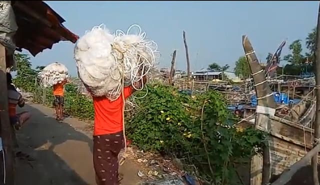 আজ মধ্যরাত থেকে শেষ হচ্ছে ইলিশ শিকারে ২২ দিনের নিষেধাজ্ঞা