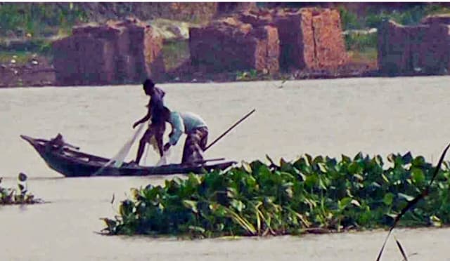 ঝালকাঠিতে মৎস্য বিভাগের মাঠ সহায়ককে ম্যনেজ করে চলছে ইলিশ নিধন!